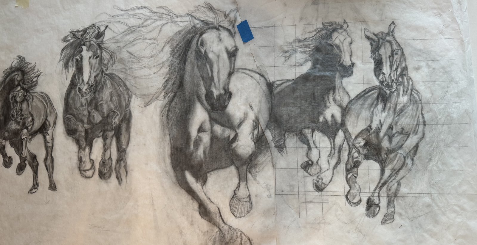 Pencil study of five horses galloping side by side